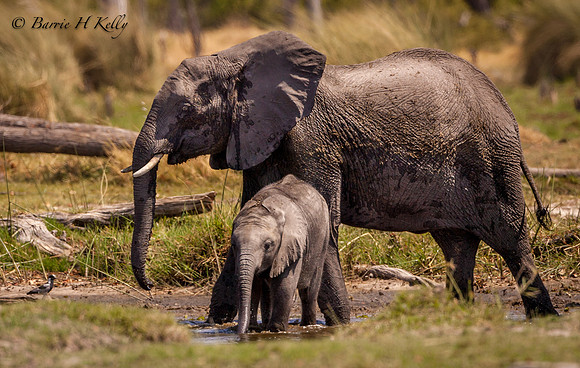 NX3M0102...Mother and baby... Botswana