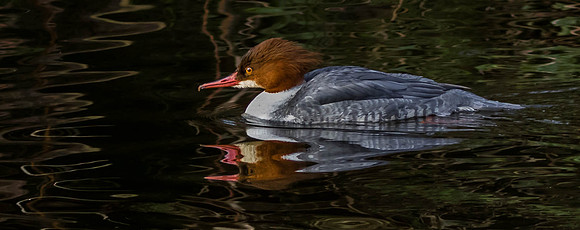 _J9A1250-Edit