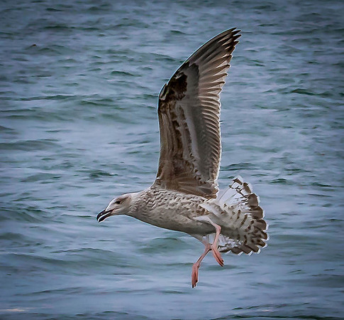 _J9A9794-Edit