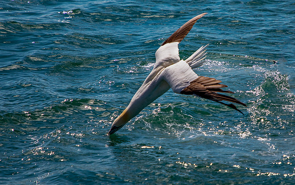 _13A3241-Edit
