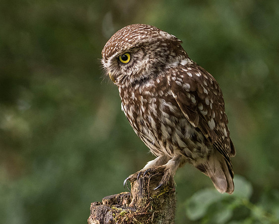 _J9A9070-Edit-Edit