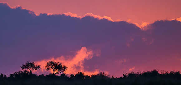 _D9R7643 ....  Sunset in the Mara .. Masai Mara Kenya.