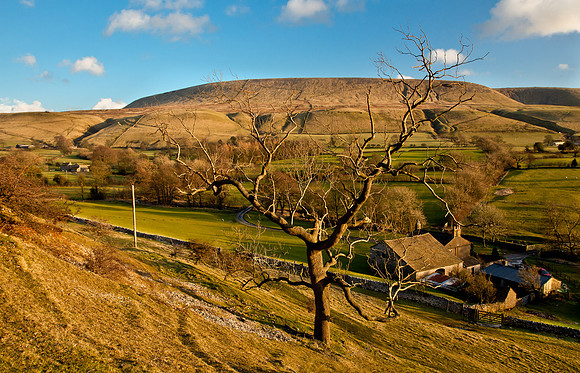 Worsaw Farm and Pendle Hill.