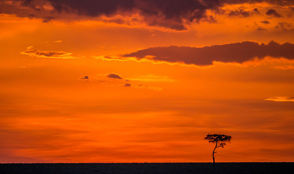 _D9R7066 Sunset in the Mara .. Masai Mara Kenya.