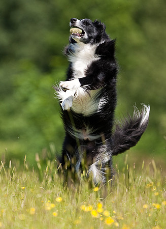 Perfect timing